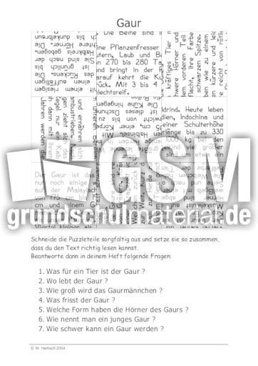 Gaur.pdf